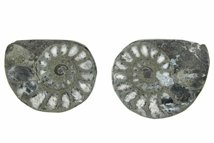 Pyritized Cut Ammonite Fossil Pair - Morocco #276594